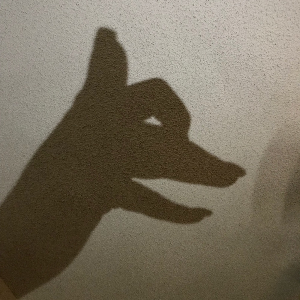 Meet your Posher, Danny